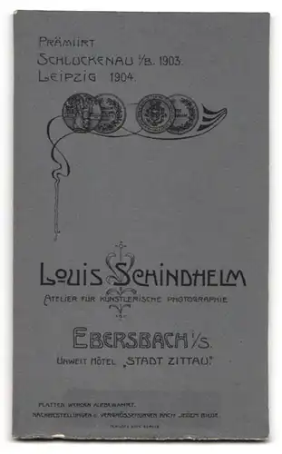 Fotografie Louis Schindhelm, Ebersbach i /S., Junge Dame im Kleid mit Buch
