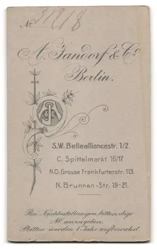 Fotografie A. Jandorf & Co., Berlin-SW, Bellealliancestr. 1-2, Junger Herr in eleganter Kleidung