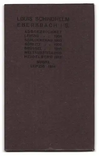 Fotografie Louis Schindhelm, Ebersbach i /S., Junge Dame im Kleid mit einem Buch