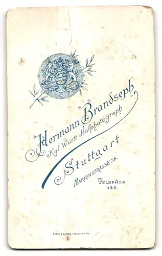Fotografie Hermann Brandseph, Stuttgart, Marienstrasse 36, Bürgerliche Dame mit Brosche
