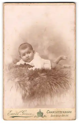 Fotografie Emil Giese, Charlottenburg, Schloss-Strasse 68, Baby auf Fell liegend