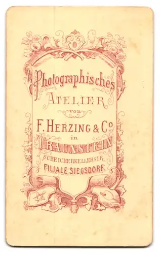 Fotografie F. Herzing, Traunstein, Scheicherkellerstrasse, Bürgerliche Dame in geknöpftem Kleid