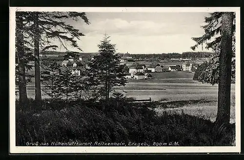 AK Reitzenhain /Erzgebirge, Totalansicht aus der Ferne