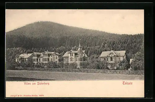 AK Tabarz, Villen am Datenberg mit Wald
