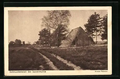 AK Egestorf, Sudermühle, Schnuckenstall mit Feldweg