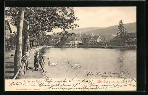 AK Ilsenburg /Harz, Partie am Teich mit Schwänen
