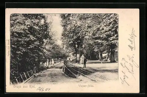 AK Kiel, Wasser-Allee mit belaubten Bäumen