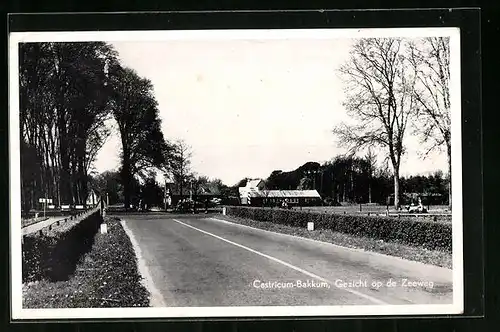 AK Castricum-Bakkum, Gezicht op de Zeeweg