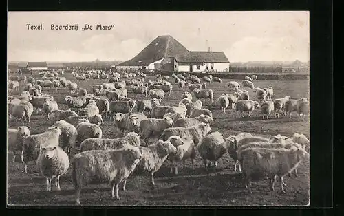 AK Texel, Boerderij De Mars