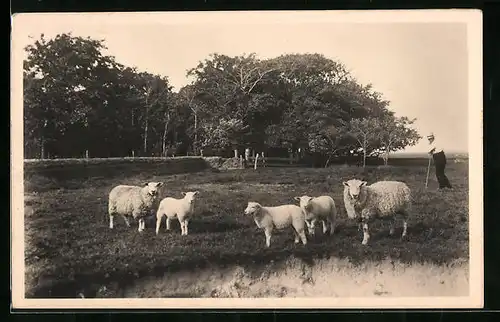 AK Texel, Lente