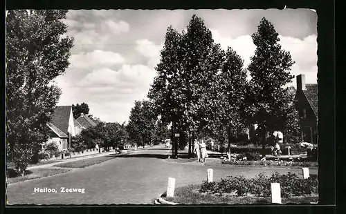 AK Heiloo, Zeeweg