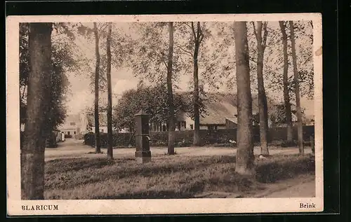 AK Blaricum, Brink