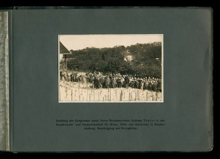 Fotoalbum mit 14 Fotografien, Ansicht Wien, IX. Kongress Internationalen Liga der Prohibitionsgegner 1928 3