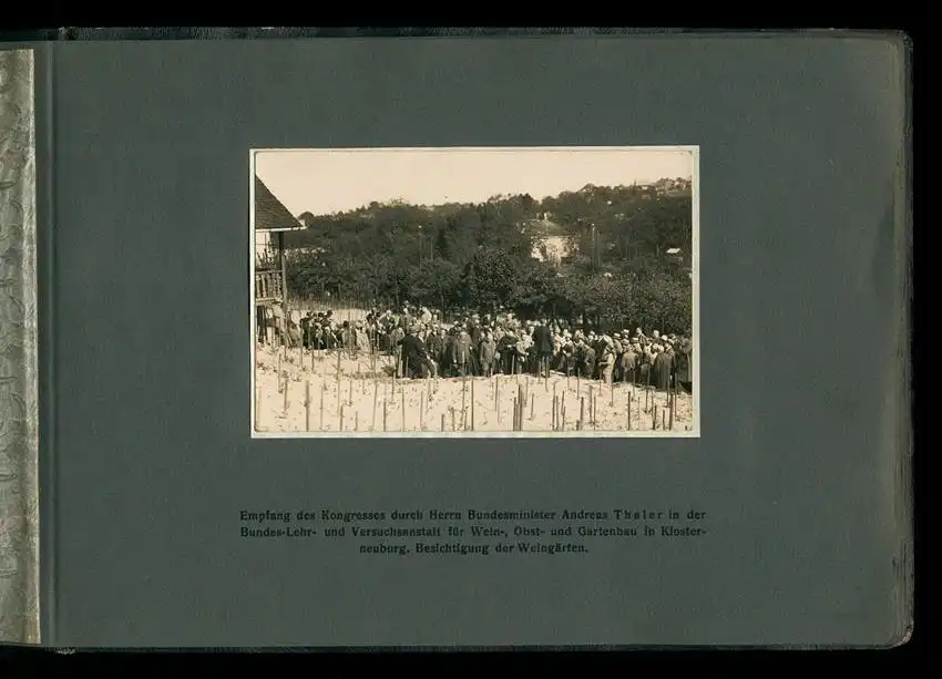 Fotoalbum mit 14 Fotografien, Ansicht Wien, IX. Kongress Internationalen Liga der Prohibitionsgegner 1928 3