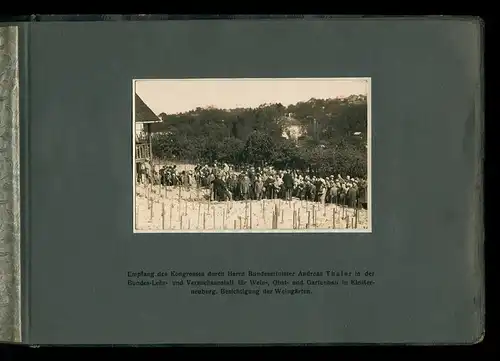 Fotoalbum mit 14 Fotografien, Ansicht Wien, IX. Kongress Internationalen Liga der Prohibitionsgegner 1928