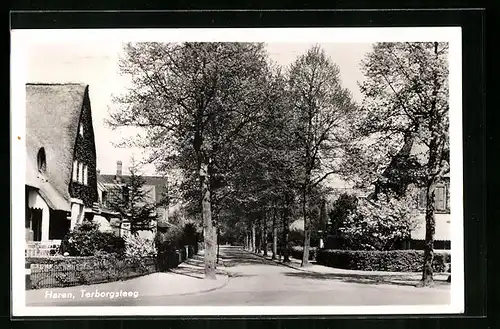 AK Haren, Terborgsteeg