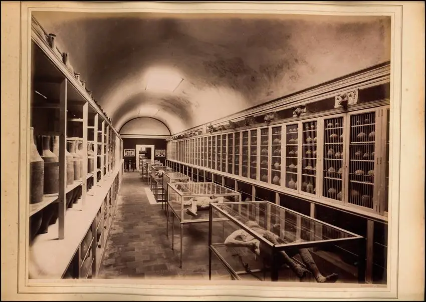 Fotografie Giorgio Sommer, Napoli, Ansicht Pompei, Amphitheater 1