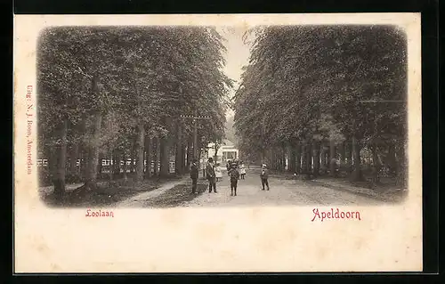 AK Apeldoorn, Loolaan