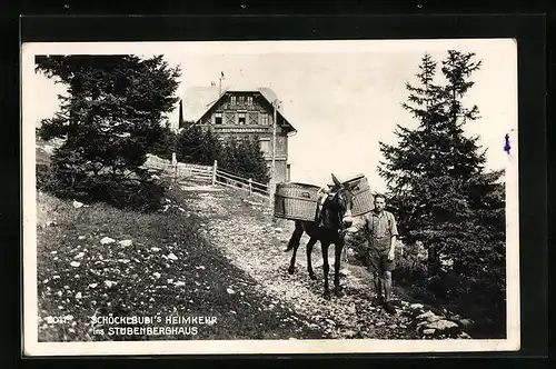 AK Stubenberghaus, Schöcklbubi`s Heimkehr in die Berghütte