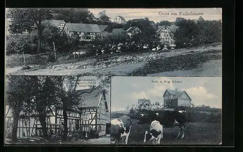 AK Wallerhausen, Kolonialwarenhandlung und Obstkrautfabrik Albert Wirths, Kath. und Evgl. Schulen
