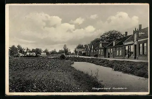 AK Koudekerk, Hoogewaard