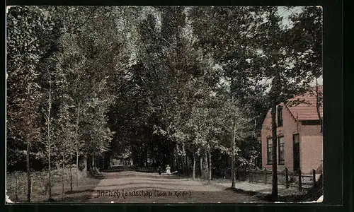 AK Rolde, Drentsch Landschap, Laan te Rolde