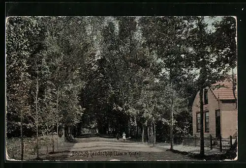 AK Rolde, Drentsch Landschap, Laan te Rolde