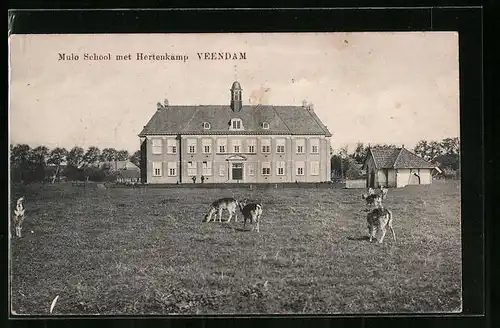 AK Veendam, Mulo School met Hertenkamp