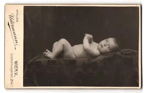 Fotografie A. Udermann, Wien, Schönbrunnerstr. 24, Nackiges Kleinkind liegt auf einer Decke