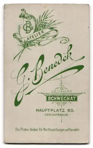 Fotografie G. Benedek, Schwechat, Hauptplatz 65, Bürgerlicher Herr im karierten Anzug mit Schnurrbart