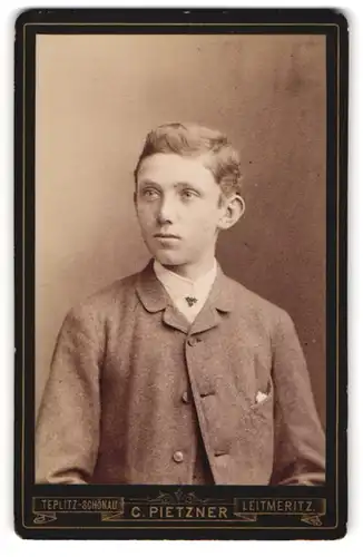 Fotografie C. Pietzner, Teplitz-Schönau, Junger Mann im Anzug mit Krawatte