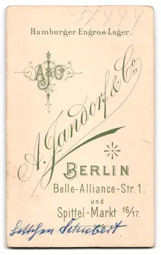 Fotografie A. Jandorf & Co., Berlin, Belle-Alliance-Str. 1, Junge Dame im Kleid