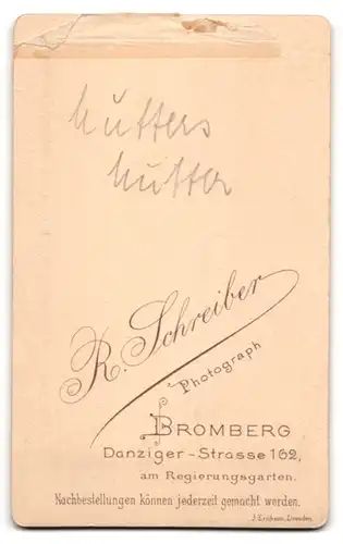 Fotografie R. Schreiber, Bromberg, Danziger-Strasse 162, Bürgerliche Dame im Kleid mit Kragenbrosche