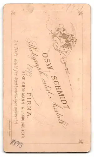 Fotografie Osw. Schmidt, Pirna, Junge Frau im Sonntagsstaat, mit Buch