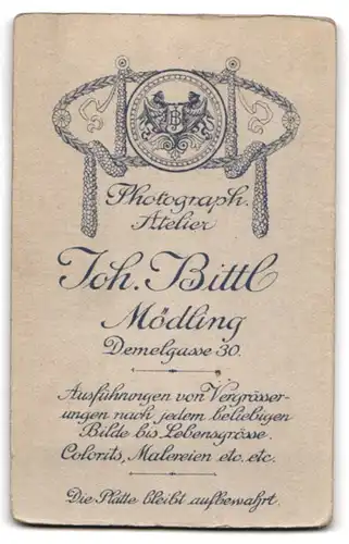 Fotografie Joh. Bittl, Mödling, Demelgasse 30, Bürgerliche Dame in schwarzem Kleid mit Ohrring