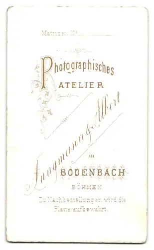 Fotografie Jungmann & Albert, Bodenbach, Junge Dame mit gerüschtem Kragen