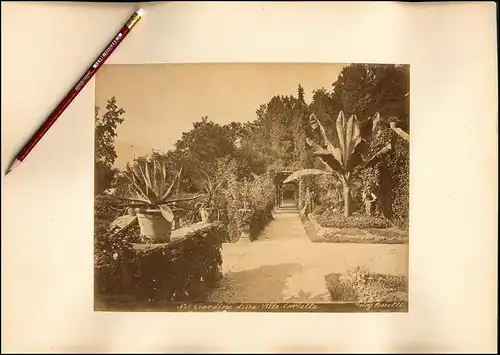 Fotografie Bosetti, Ansicht Tremezzo, Giardino della Villa Carlotta, Grossformat 43 x 31cm