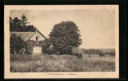 AK Ellecom, De Carolinehoeve