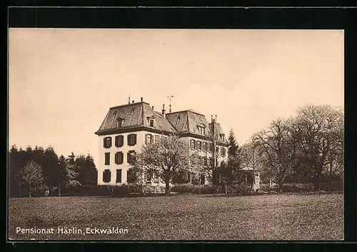 AK Eckwälden, Pensionat Härlin mit Wiese und Bäumen