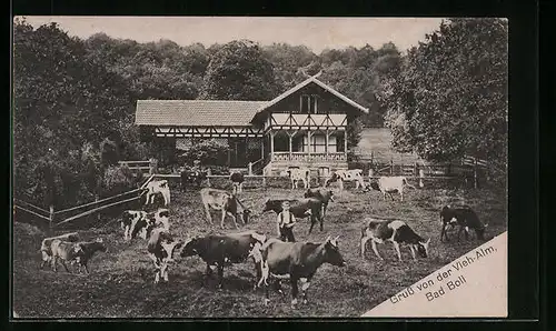 AK Bad Boll, Gasthaus zur Vieh-Alm mit Kühen auf der Weide