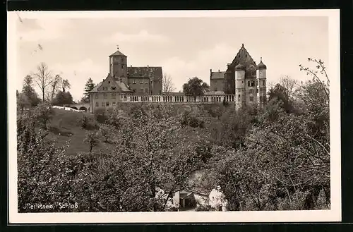 AK Illertissen, Schloss mit blühenden Bäumen