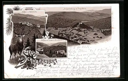 Vorläufer-Lithographie Schwarzburg, 1894, Ortsansicht vom Tripstein, Schloss vom Helenensitz