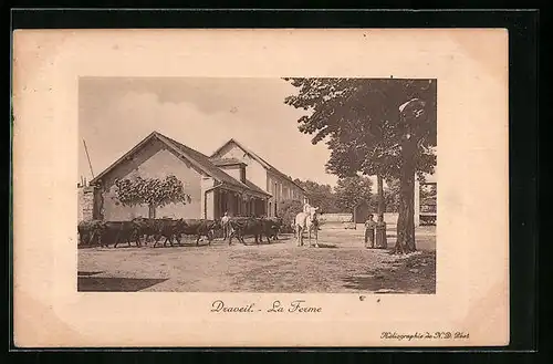 AK Draveil, La Ferme
