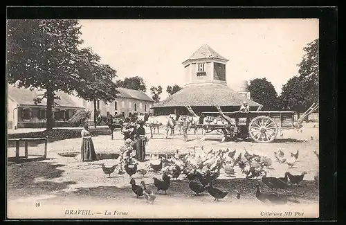 AK Draveil, La Ferme
