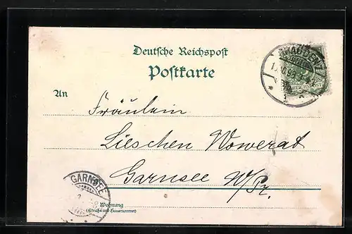 Lithographie Rüdesheim, Ausflugsdampfer vor der Stadt, National-Denkmal a. d. Niederwald, Burg Rheinstein, der Mäuseturm