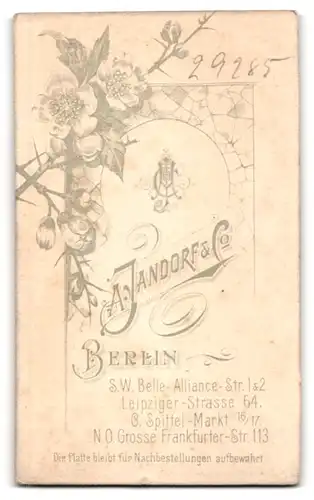 Fotografie A. Jandorf & Co., Berlin, Bürgerliche Dame mit Kragenbrosche