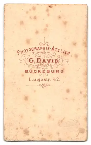 Fotografie G. David, Bückeburg, Langestrasse 42, Frau mit Flechtfrisur, Spitzenkragen und Brosche