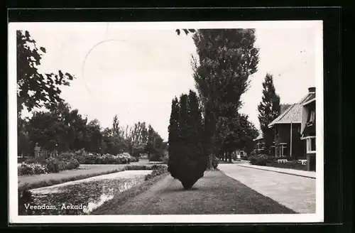 AK Veendam, Aekade