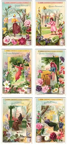 6 Sammelbilder Liebig, Serie Nr. 689: Blumen-Jahreslauf, Rosen, Nelken, Veilchen, Weidenkätzchen, Dame in der Hängematte
