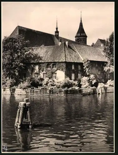 Fotografie unbekannter Fotograf, Ansicht Königsberg, Rückansicht des Königsberger Doms